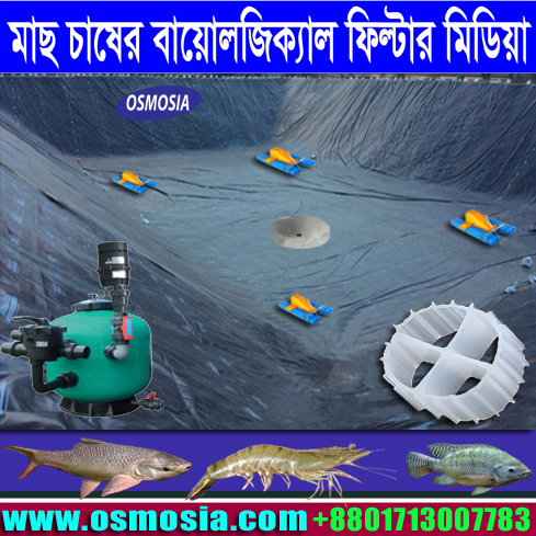 K1 / K3 Bio Filter Media Price for High Density Fish Farm in Bangladesh