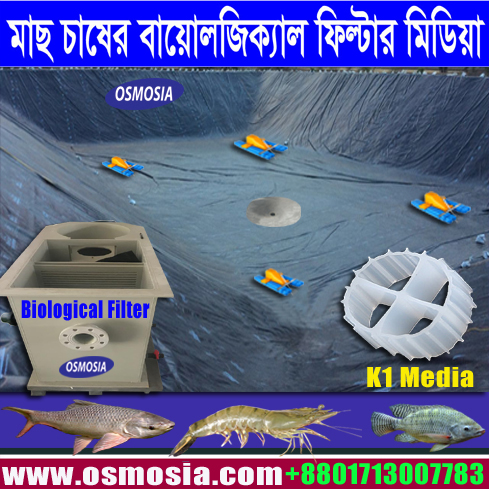 জিওমেমব্রেন মাছের পুকুর এবং বায়োলজিক্যাল ফিল্টার মিডিয়া, Bioreactor Filter Media Suppliers, Moving Bed Biofilm Reactor Filter Media Supplier in Bangladesh