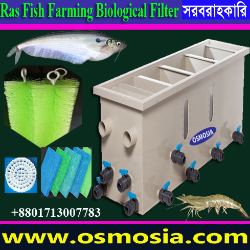Wastewater Treatment Using by Biological MBBR K1 and K3 Media in Dhaka Bangladesh, RAS Fish Farming Biological Media Price in Dhaka Bangladesh