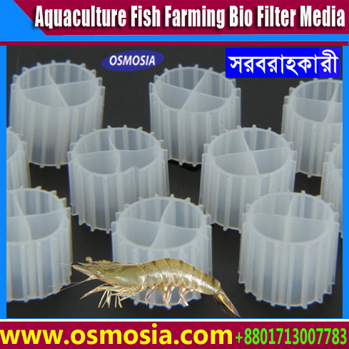 Sewage Treatment MBBR Media Price in Dhaka Bangladesh, Fish Farming MBBR Media Price in Dhaka Bangladesh