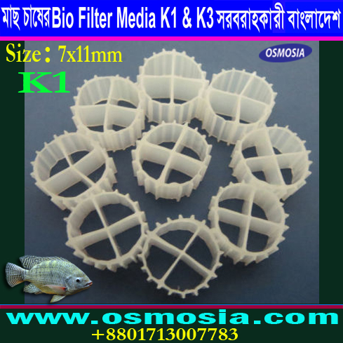 RAS High Density Fish Farming Project K1 Media Installation Company in Bangladesh, RAS High Density Fish Farming Project K1 Media Company in Bangladesh