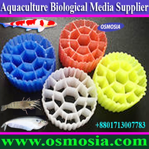 K3 - Every 2 cubic feet will support about .6 lb. of food per day, K1 - 11 x 7 mm, High Density Fish Farming Project K1 Media in Bangladesh