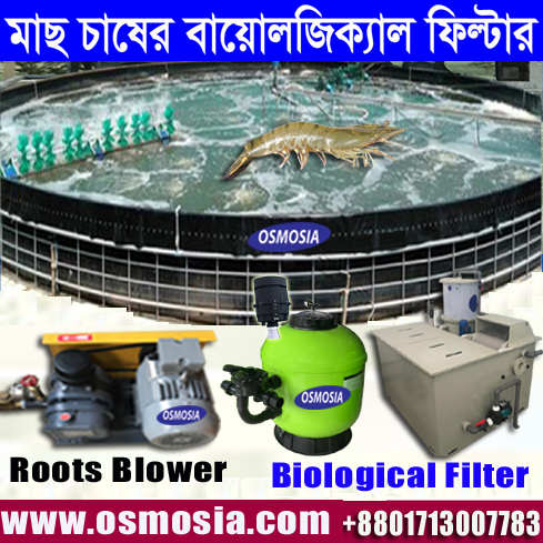 বাণিজ্যিকভাবে আধুনিক পদ্ধতিতে অধিক ঘনত্বে মাছ চাষের বায়োলজিক্যাল ফিল্টার, বাণিজ্যিকভাবে মাছ চাষের বায়োলজিক্যাল ফিল্টার, আধুনিক পদ্ধতিতে অধিক ঘনত্বে মাছ চাষের বায়োলজিক্যাল ফিল্টার, মাছ চাষের বায়োলজিক্যাল ফিল্টার, Biological Filter for High Density Fish/ Prawn Farm in BD