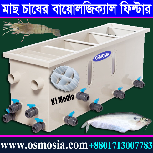 Biological Filter for High Density Fish/ Prawn Farm in Bangladesh, High Stocking Density Fish Farming Biological Filter in Bangladesh