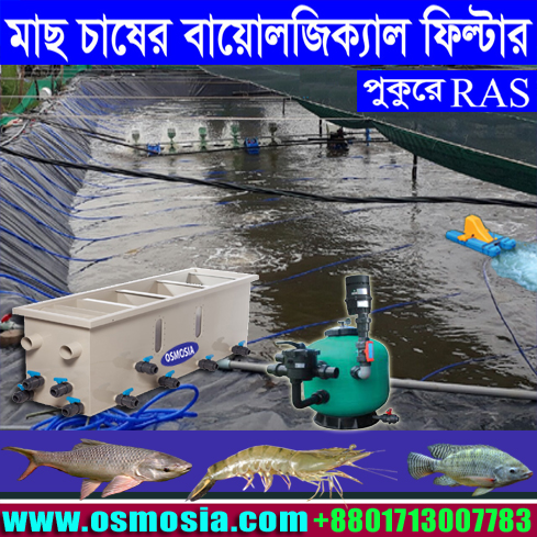 Commercial High Production Fish Farming Bio Filter, Biological Filter for Commercial High Production Fish Culture Project in BD
