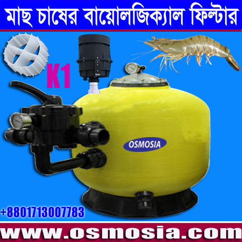 আধুনিক ভাবে অধিক ঘনত্বে মাছ চাষের বায়োলজিক্যাল ফিল্টার, Fish Farming Ammonia Reduction Biofilter in Bangladesh
