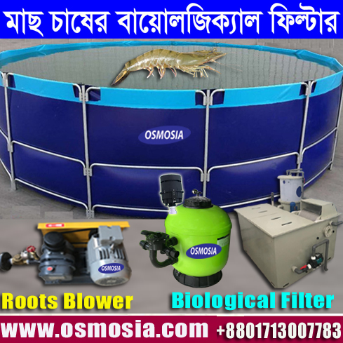 ট্যাংকে অধিক ঘনত্বে মাছ চাষের বায়োলজিক্যাল ফিল্টার, Commercial Geomembrane Liner Fish Culture Tank