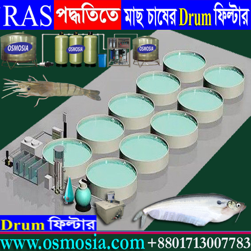 মাছ চাষের প্রোটিন স্কিমার সরবরাহকারী কোম্পানি বাংলাদেশ, নিবিড় পদ্ধতিতে শিং মাছ চাষ, আধুনিক পদ্ধতিতে শিং মাছ চাষ, দেশি শিং মাছের আধুনিক চাষ, দেশি শিং মাছের আধুনিক চাষ বাংলাদেশ, আধুনিক পদ্ধতিতে মাছ চাষ, আধুনিক ভাবে ট্যাংকে মাছ চাষের যাবতীয় মেশিনারি সরবরাহকারী কোম্পানি বাংলাদেশ, ট্যাংকে মাছ চাষের মেশিনারি সরবরাহকারী কোম্পানি বাংলাদেশ