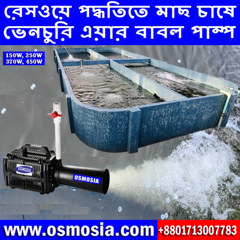 Raceway Bottom Cleaning Fish Tank Venturi Bubble Maker Air Pump Price in Bangladesh