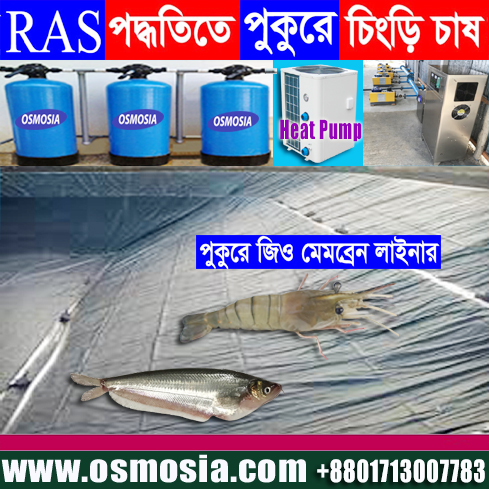 Aquaculture Fish Farming Water Heating and Cooling Heat Pump Price in Bangladesh
