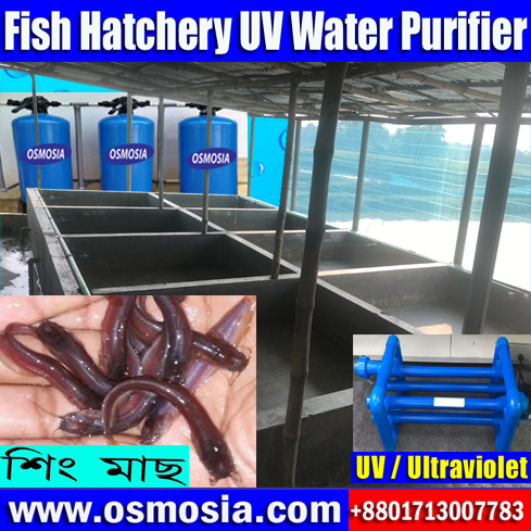 Bangladesh Aquarium Water Treatment UV Sterilizer, Bangladesh Aquaculture Water Treatment UV Sterilizer