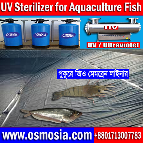 Ultraviolet (UV) Sterilizer for RAS Fish Pond, Ultraviolet (UV) Sterilizer Supplier for RAS Fish Pond, Ultraviolet (UV) Sterilizer Supplier for RAS Fish Pond in Bangladesh