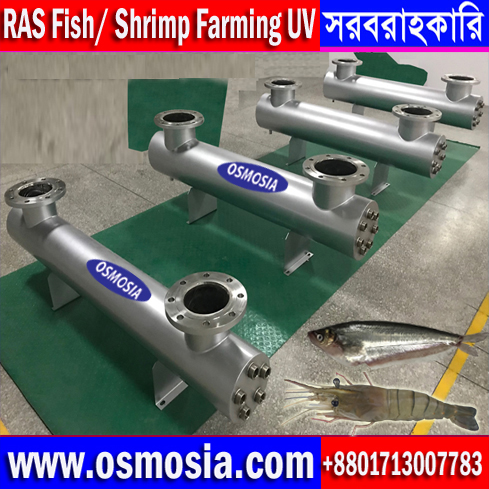 Industrial Fish/ Prawn Culture UV Water Purifier, High Density Fish Culture Water Purifier UV/ Ultraviolet System Supplier Company in Bangladesh